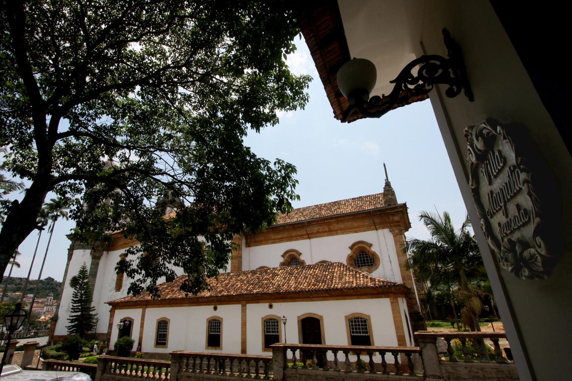 Magnolia Sao Joao del Rei